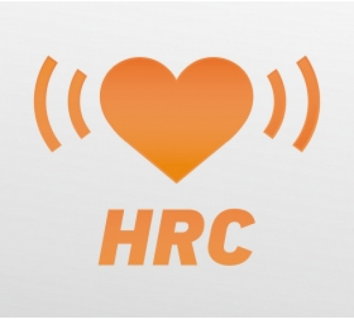 Беговая дорожка BRONZE GYM T812 LC TFT