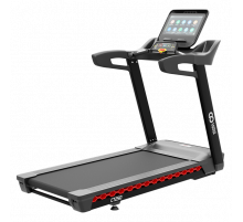 Беговая дорожка CardioPower PRO CT250