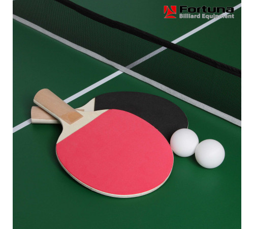 Бильярдный стол Fortuna Русская Пирамида 5фт 9 в 1 с комплектом аксессуаров