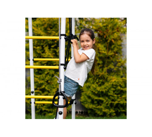 Детский спортивный комплекс для дачи ROMANA Богатырь MAX Плюс-2