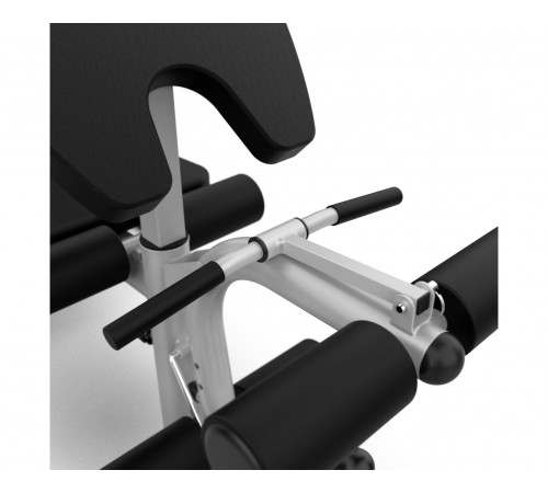 Скамья под штангу DFC D748