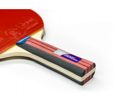 Теннисная ракетка Dragon Taichi 3 Star New (анатомическая)