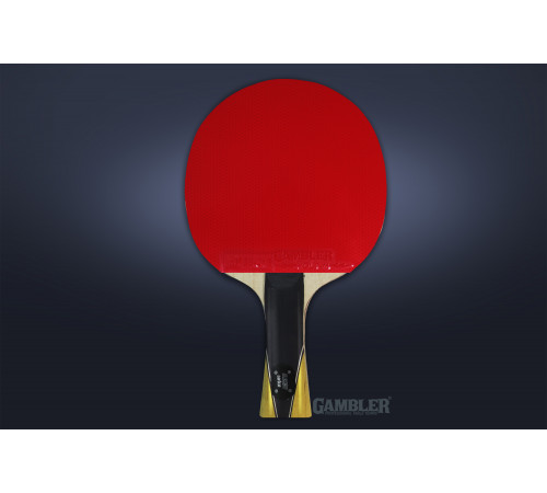 Ракетка Gambler MAX SPEED CARBON VOLT M (коническая)