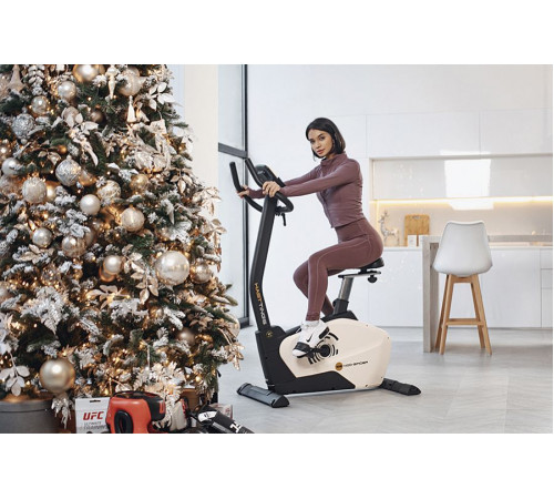 Велотренажер Hasttings SB400 SPIDER