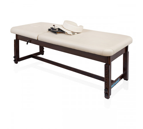 Массажный стационарный стол Essence-Tilt SET3S30+H